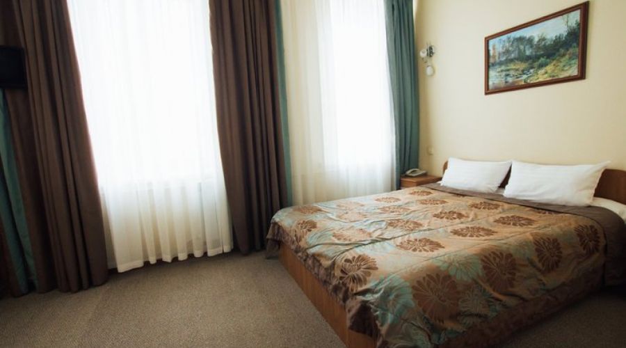 Эконом 2-местный (Skazka Room, DBL)